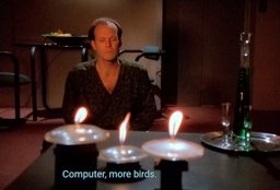 birds.jpg