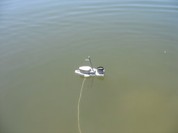 IMG_9394.JPG