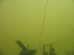 IMG_9377.JPG