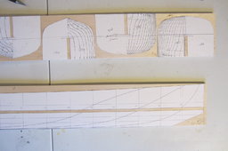 IMG_3481.JPG