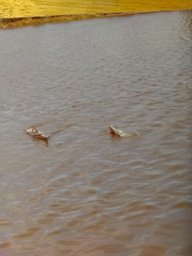 IMG_20210321_193926569.jpg