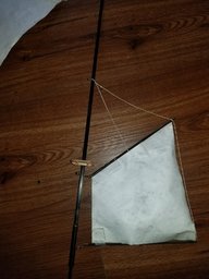 20210612_110033.jpg