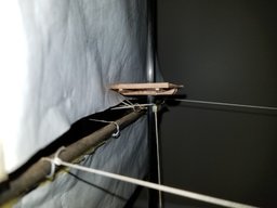 20210612_103753.jpg