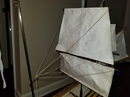 20210612_095503.jpg