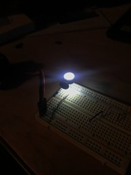 EF21B626-BDBD-4F66-8C83-2393AE568159.jpeg
