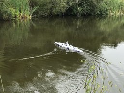 pond.jpg