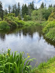IMG_1404.jpg