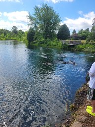 20220712_105610.jpg