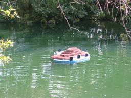 IMG_2956 (2).JPG