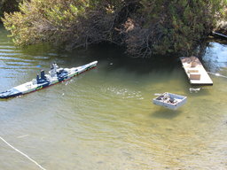 IMG_7389.jpg