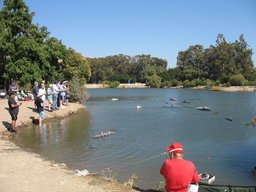 IMG_7448.jpg