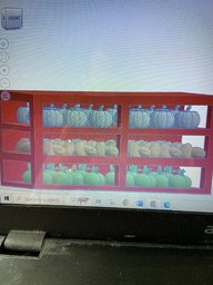 IMG_4242.jpeg