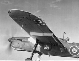 VR992.32.41 Barracuda Damaged Wing Puncher.jpg
