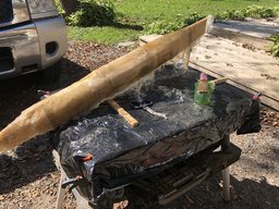 IMG_0420[1].JPG