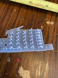 IMG_5498.jpeg