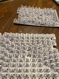 IMG_5513.jpeg
