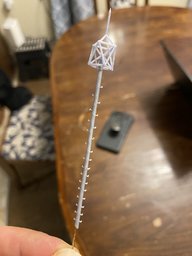 IMG_6855.jpeg