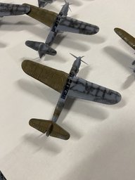 IMG_7355.jpeg
