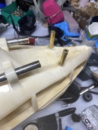 IMG_2349.jpeg