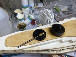 IMG_2368.jpeg
