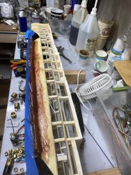 IMG_2381.jpeg