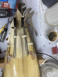 IMG_2387.jpeg
