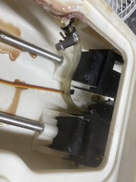 IMG_2403.jpeg