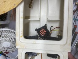 IMG_2404.jpeg