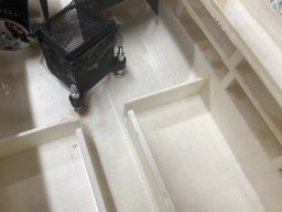 IMG_2415.jpeg