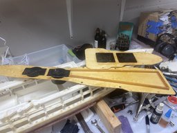 IMG_2433.jpeg