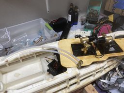 IMG_2451.jpeg