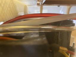 IMG_2462.jpeg