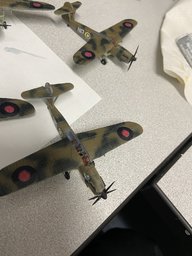 IMG_7795.jpeg