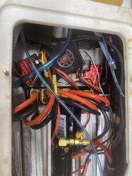 IMG_2642.jpeg
