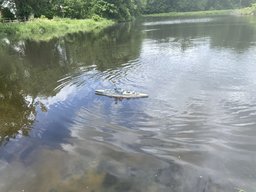 IMG_2679.jpeg