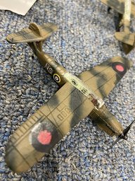 IMG_7902.jpeg