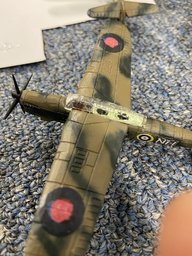 IMG_7903.jpeg