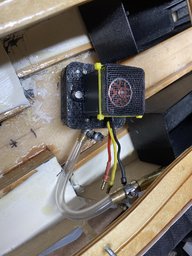 IMG_3518.jpeg