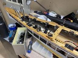 IMG_3524.jpeg