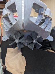 PXL_20250302_204541294.jpg
