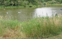 IMG_2386 copy.jpg