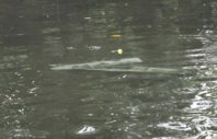 dsc_0541.jpg