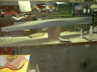 Alaska Mold 2.JPG