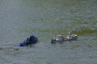 TIM_3111.JPG