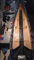 IMG_20170115_210351971.jpg