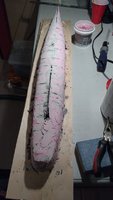 IMG_20170207_205749605.jpg