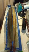IMG_20170219_175354814.jpg