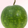 JRC123