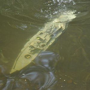 SMS Westfalen sinks